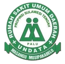 Logo RSUD Undata